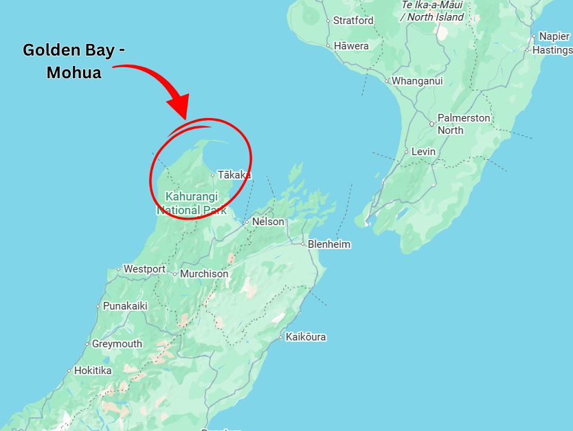 Golden Bay Gold - Mohua